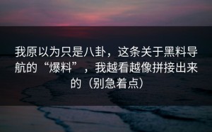 我原以为只是八卦，这条关于黑料导航的“爆料”，我越看越像拼接出来的（别急着点）