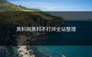 黑料网黑料不打烊全站整理