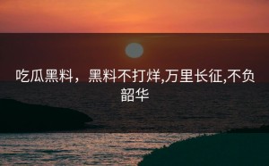 吃瓜黑料，黑料不打烊,万里长征,不负韶华