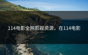 114电影全网影视资源，在114电影