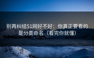 别再纠结51网好不好：你真正要看的是分类命名（看完你就懂）