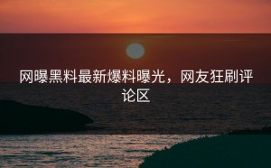 网曝黑料最新爆料曝光，网友狂刷评论区