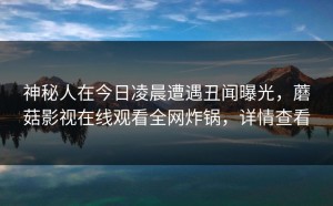 神秘人在今日凌晨遭遇丑闻曝光，蘑菇影视在线观看全网炸锅，详情查看