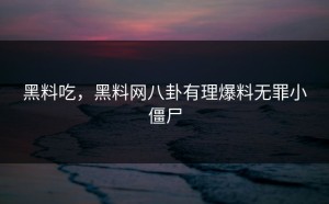 黑料吃，黑料网八卦有理爆料无罪小僵尸
