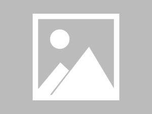 业内人士在夜深人静时遭遇爆料 炸裂，蘑菇影视在线观看全网炸锅，详情深扒