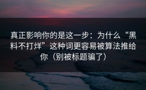 真正影响你的是这一步：为什么“黑料不打烊”这种词更容易被算法推给你（别被标题骗了）