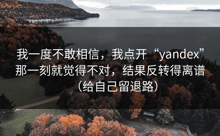 我一度不敢相信，我点开“yandex”那一刻就觉得不对，结果反转得离谱（给自己留退路）